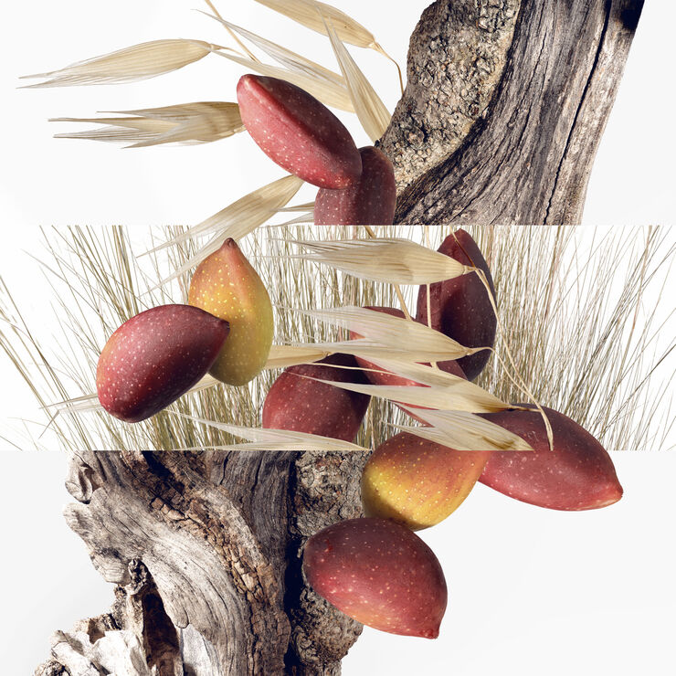 HERMÈS Un Jardin à Cythère Eau De Toilette 30ml