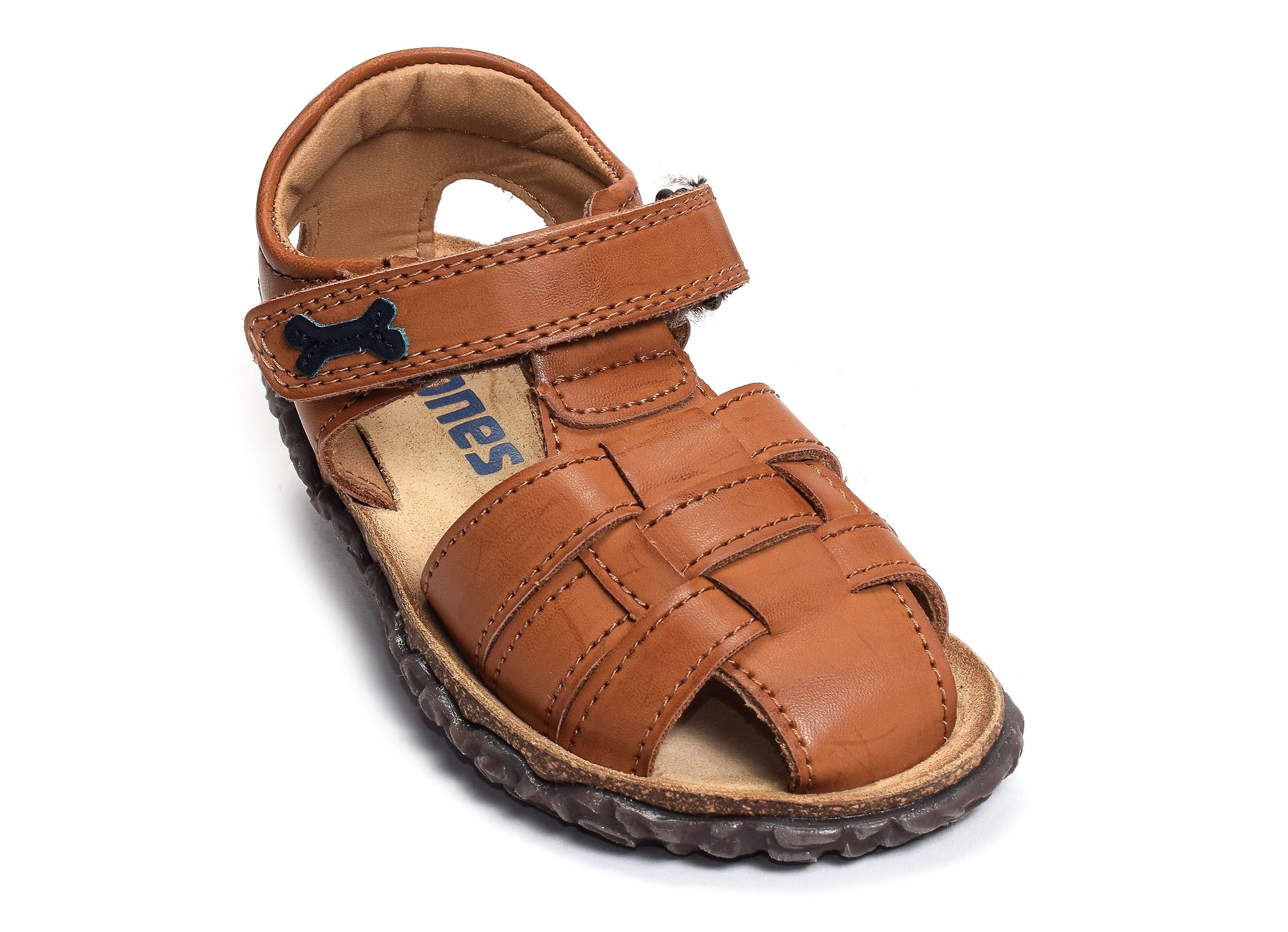 Raxi camel