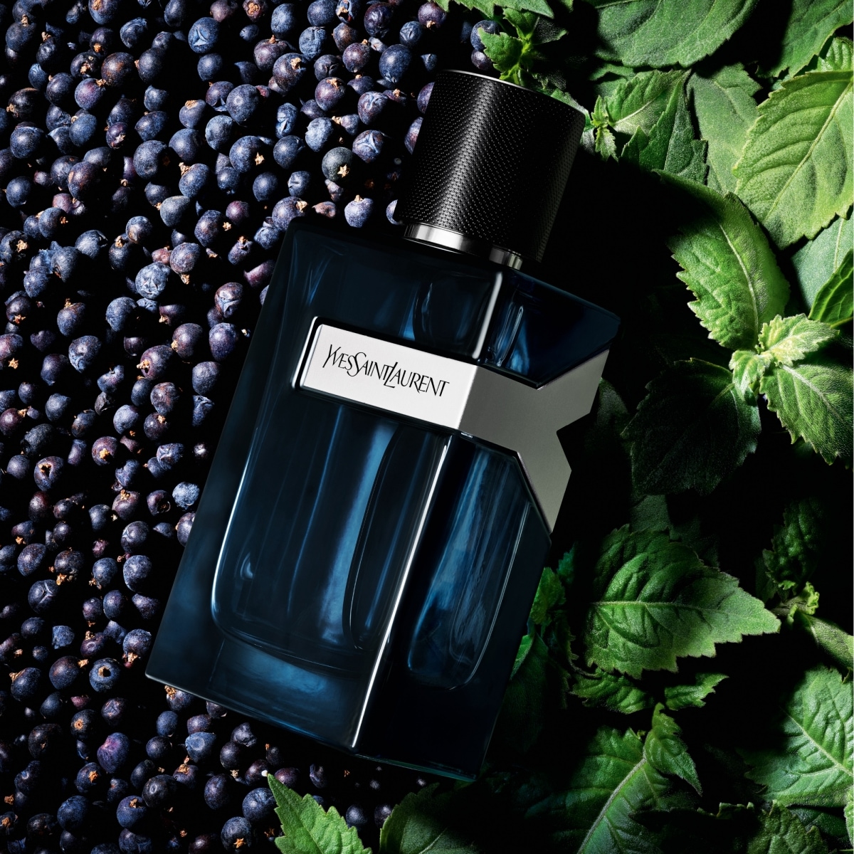 YVES SAINT LAURENT Y Eau de Parfum Intense