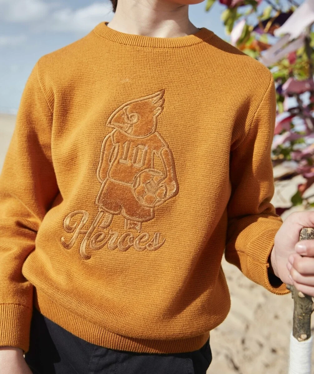 PULL EN TRICOT CAMEL AVEC MOTIF AIGLE EN FEUTRINE
