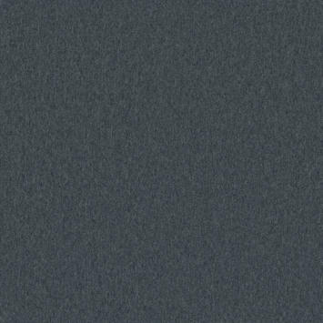 Kleurstaal tapijt kentucky blauwgrijs 190487