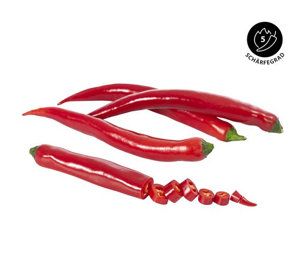 Rote Peperoni, scharf