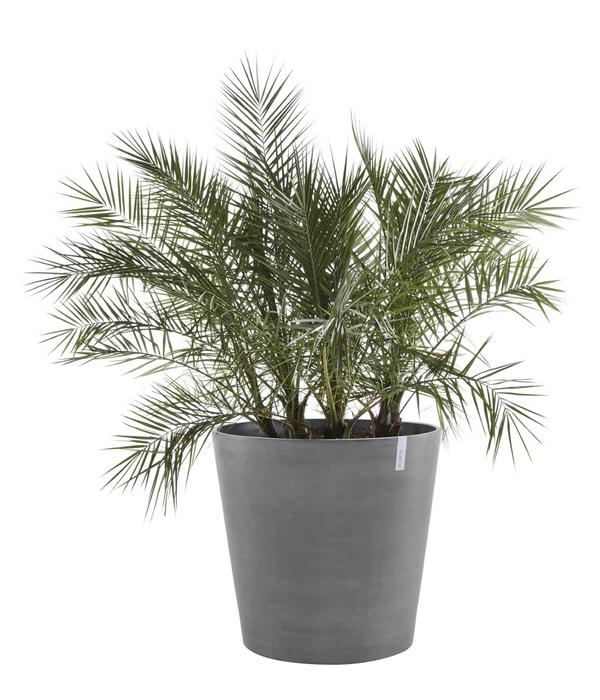 Ecopots Kunststoff-Topf Amsterdam mit Rollen,