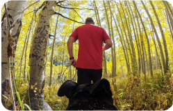 Hundegeschirr „Fetch“(Kamerahalterung für Hunde-POV-Aufnahmen)