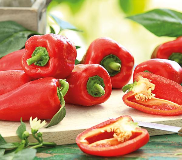 Balkonpaprika