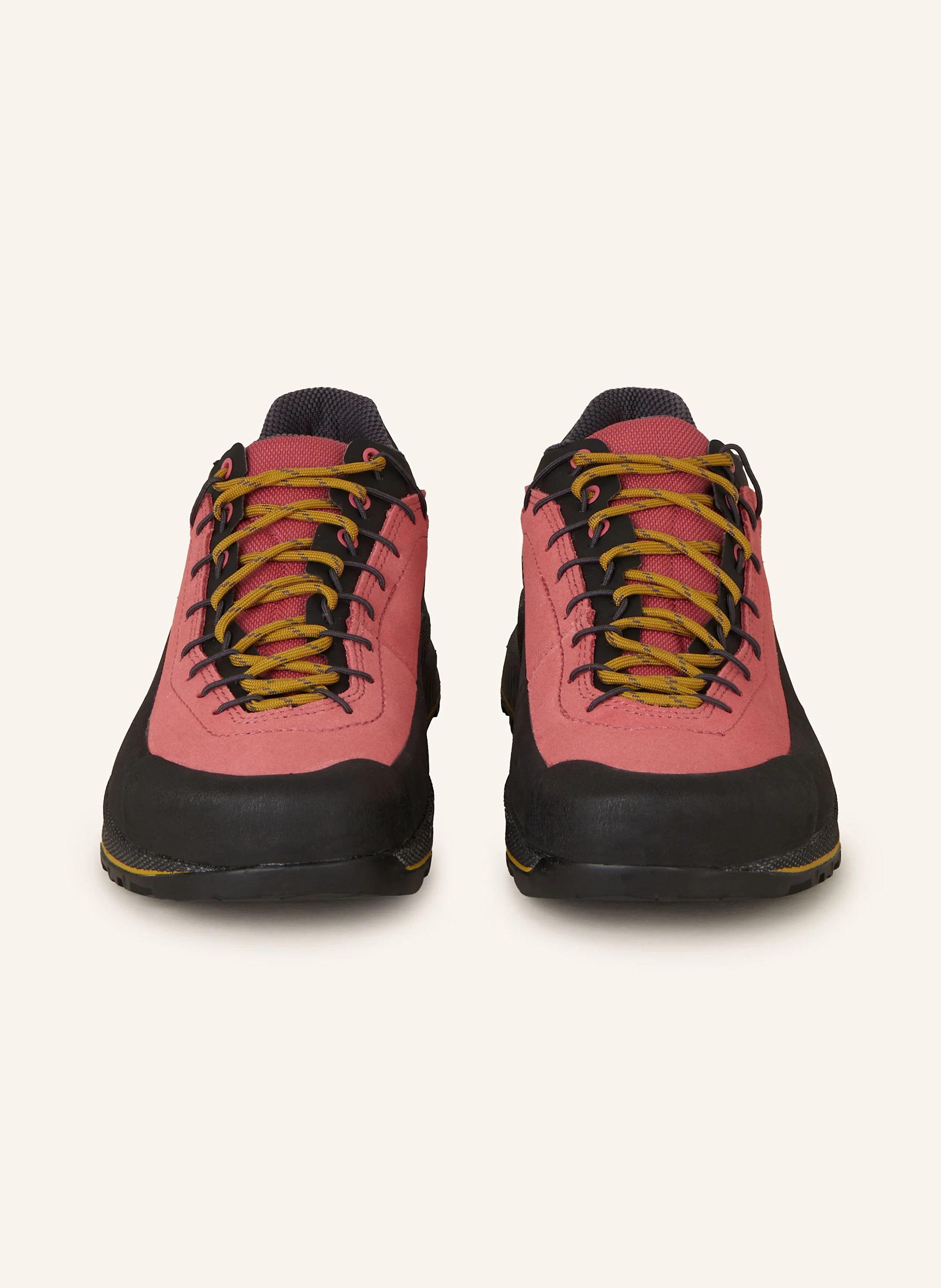 LA SPORTIVA Wanderschuhe TX4 EVO