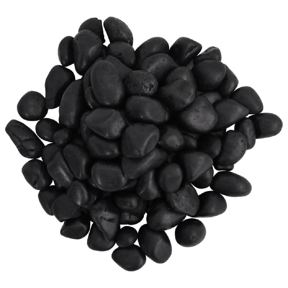 vidaXL Galets Polis 25 kg - Noir