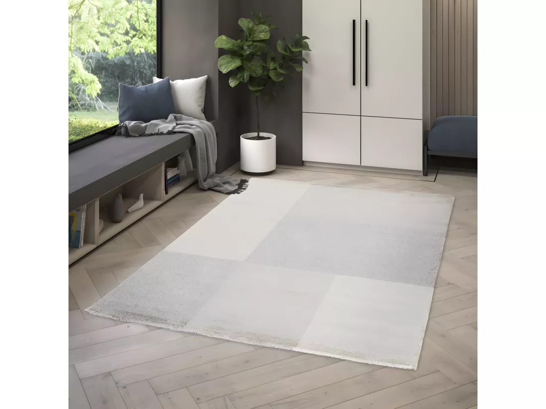 Odense - Tapis contemporain - Beige et gris - 120x170cm