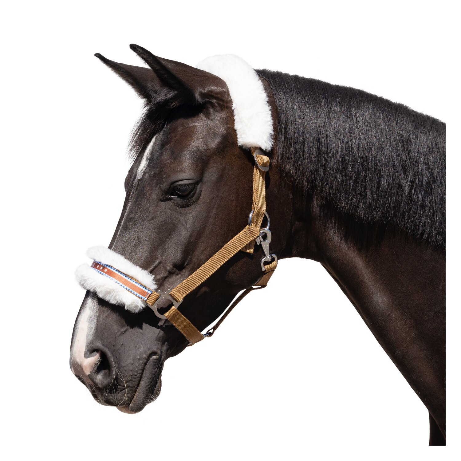 Horse-friends Halfter Herzilein  - zimt