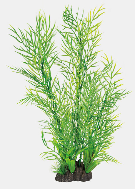 Superfish Art Plant 40cm Ceratopteris | Aquarium planten