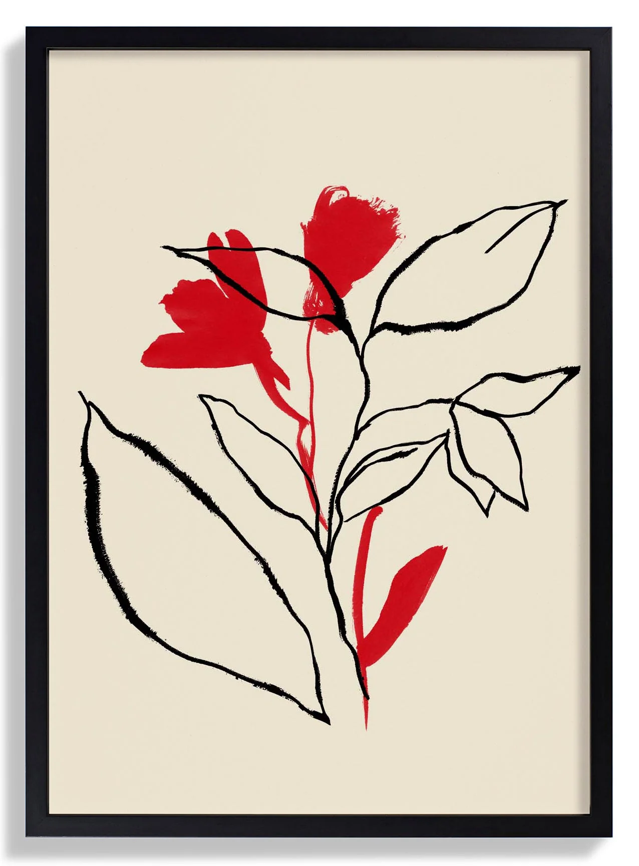 Rote und schwarze Linien