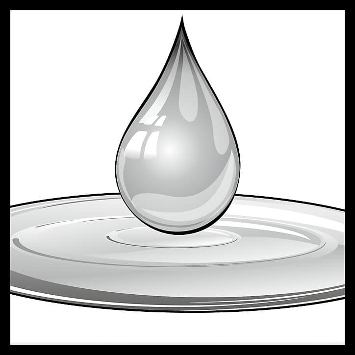 Anti mousse Sikagard Stop green pulvérisateur 5L
