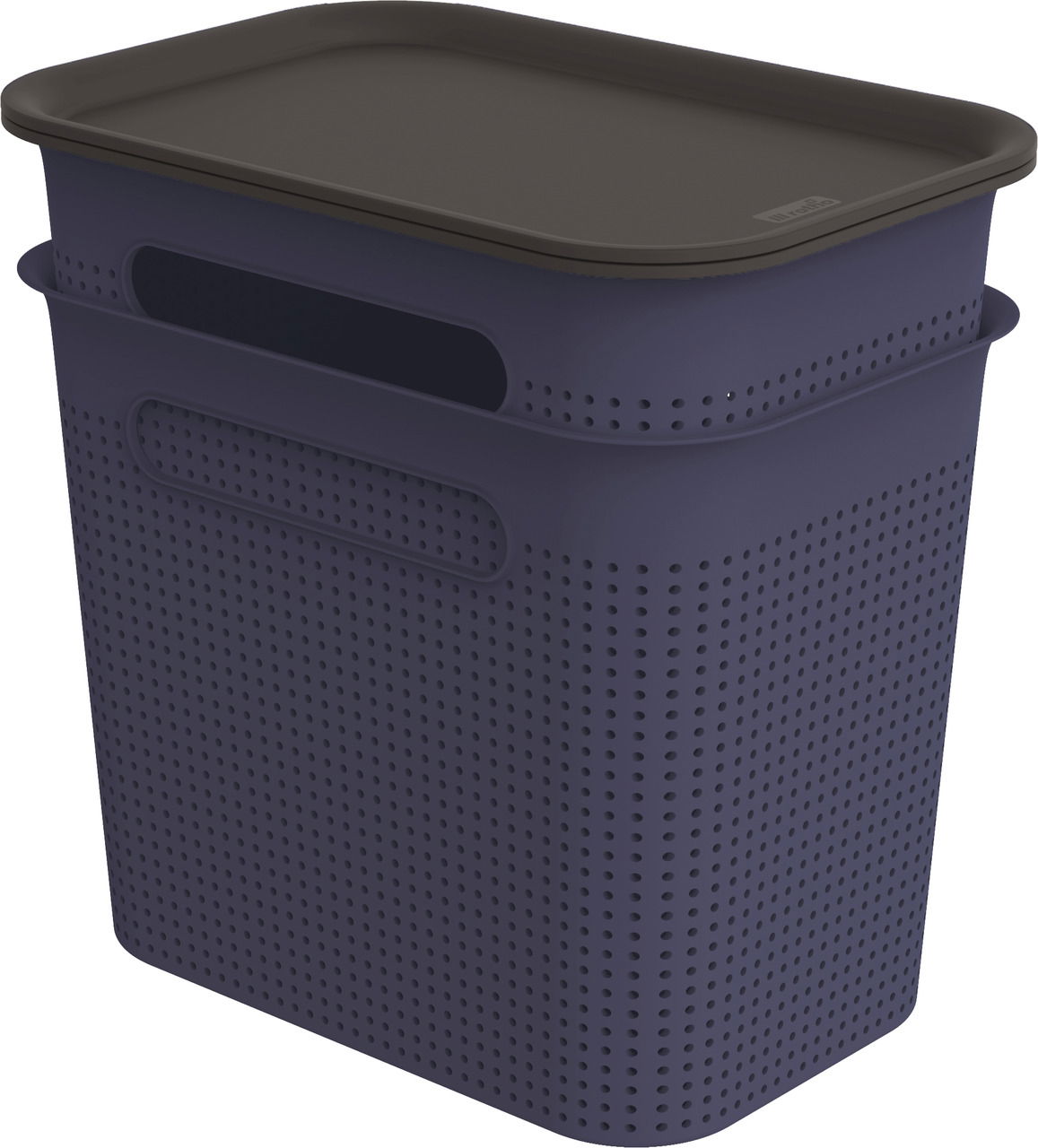 rotho Aufbewahrungsbox inkl. Deckel 2-tlg. BRISEN