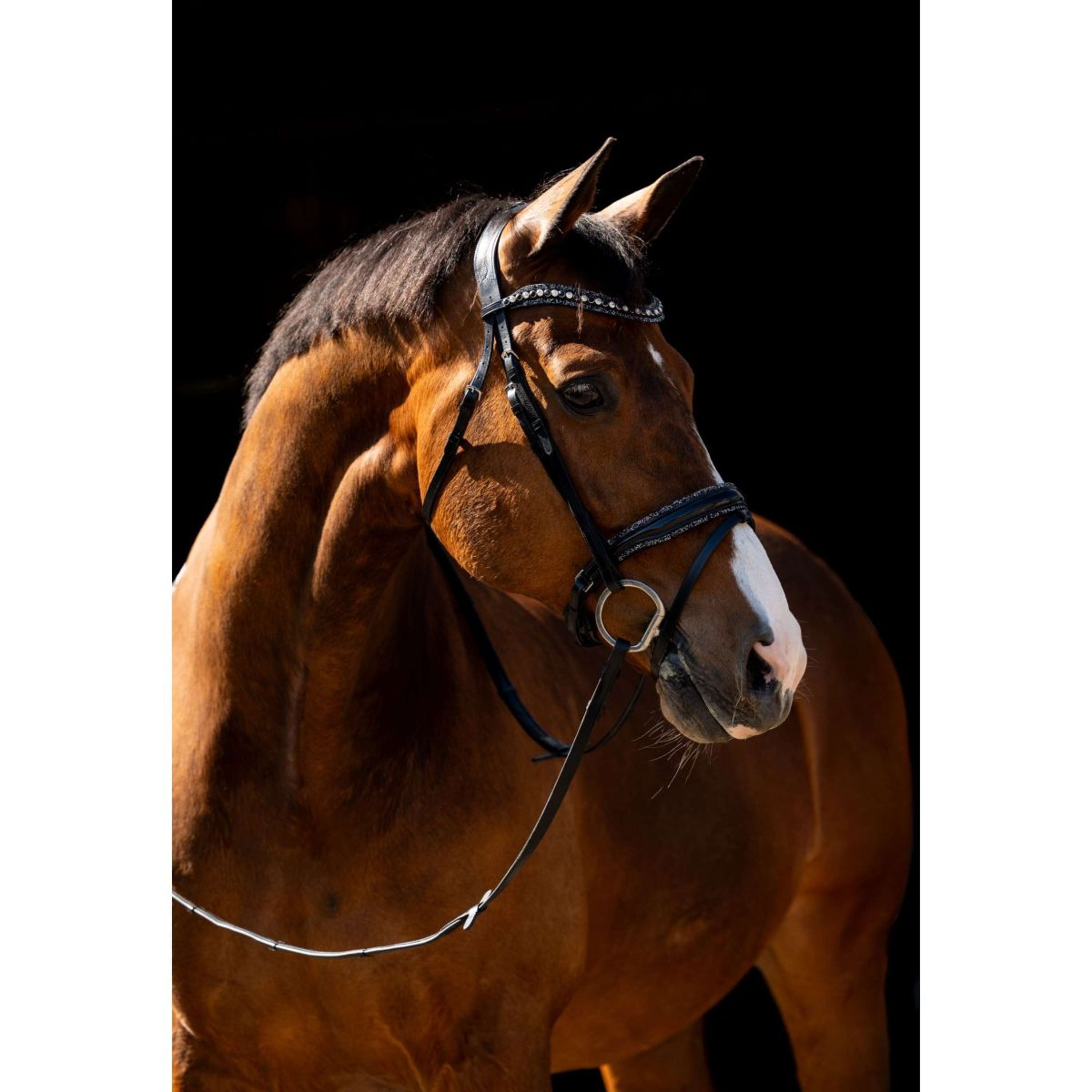 HB Hoofdstel Jump Rocky Glitter/Zwart