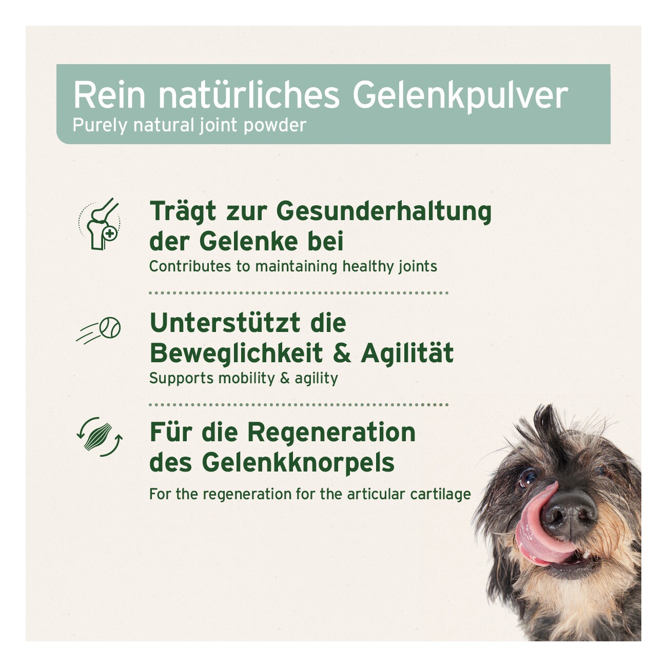 AniForte Grünlippmuschelpulver 1 kg