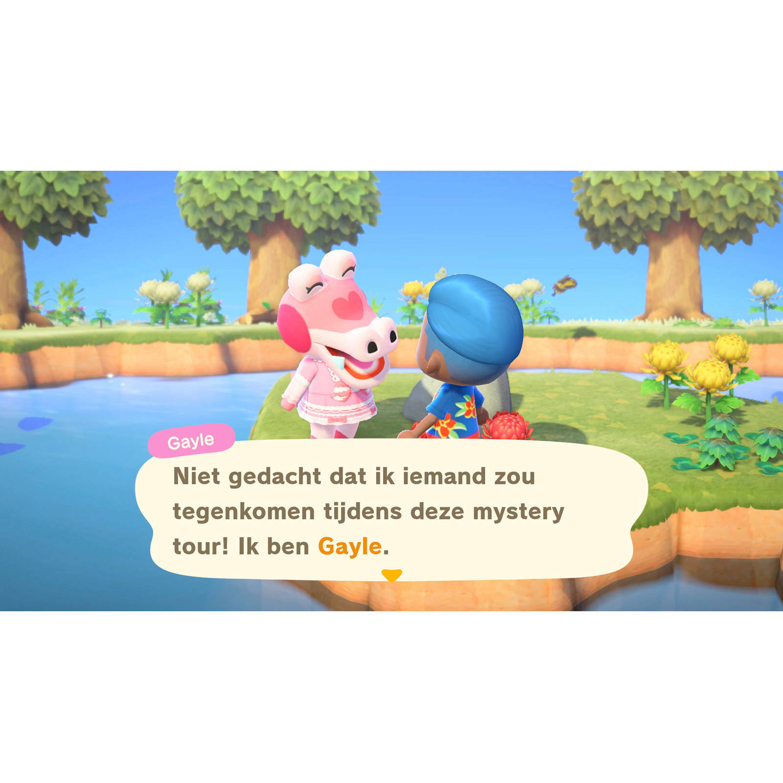 Nintendo Animal Crossing: New Horizons (Nintendo Switch)