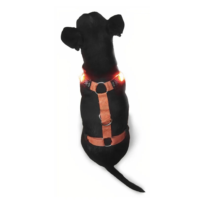 Hundesele LED M