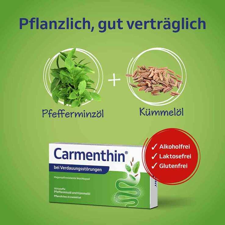 Carmenthin bei Verdauungsstörungen, 14 St