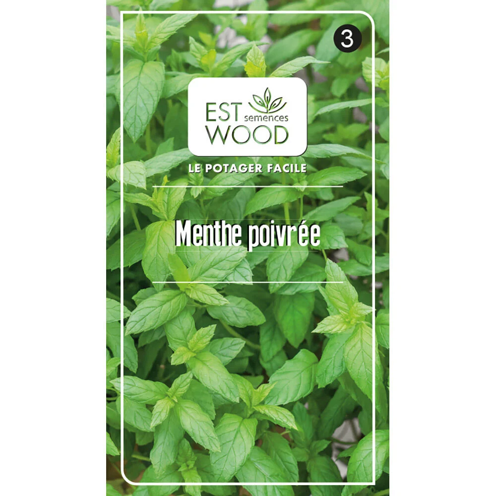 Semence Menthe poivrée vert 1 gr