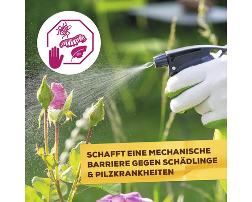 Plantversterkende werking Solabiol Chabasit Barrier 400 g houdt ongedierte op afstand, biedt mechanische bescherming tegen ongedierte en schimmelziekten en beschermt tegen thermische stress.