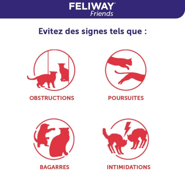 Feliway Friends