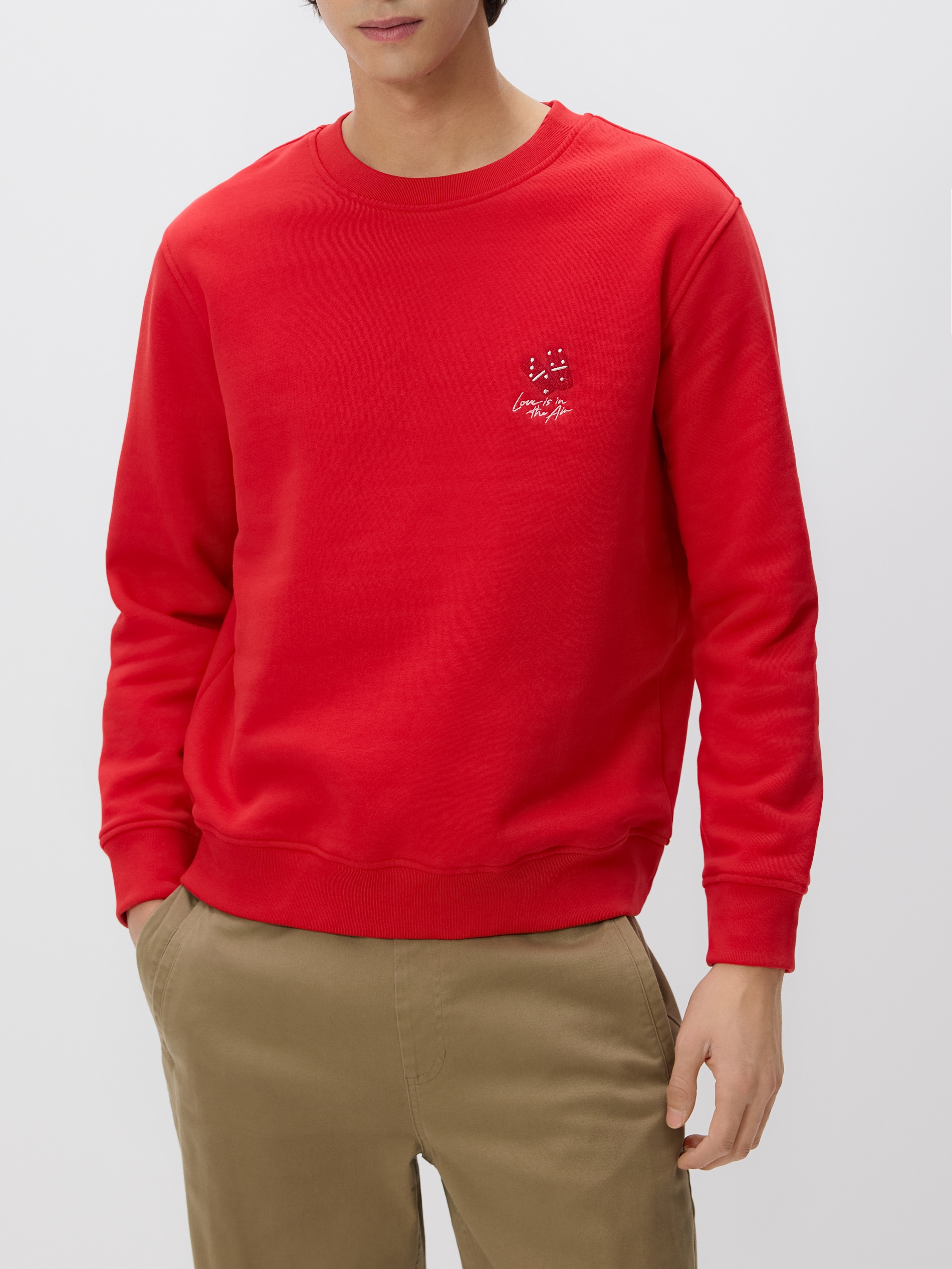 Regular-Fit-Sweatshirt aus Baumwolle