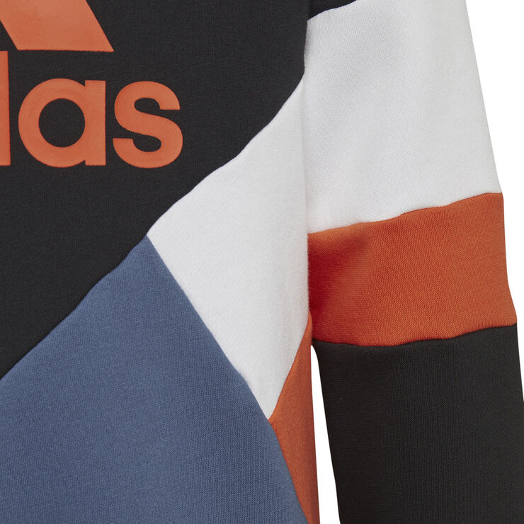 adidas Colorblock Fleece hættetrøje Multifarvet