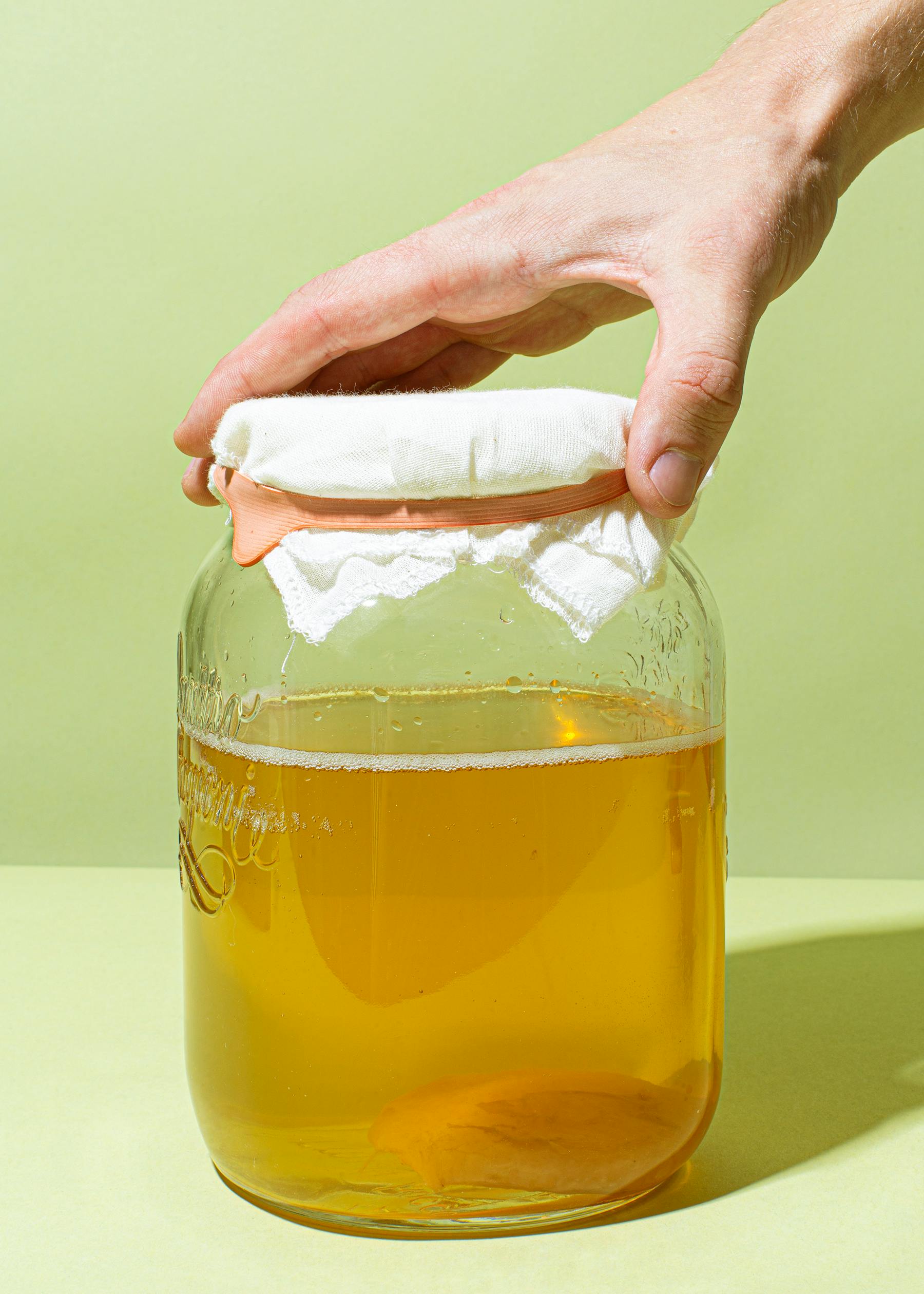 Bio Kombucha Scoby