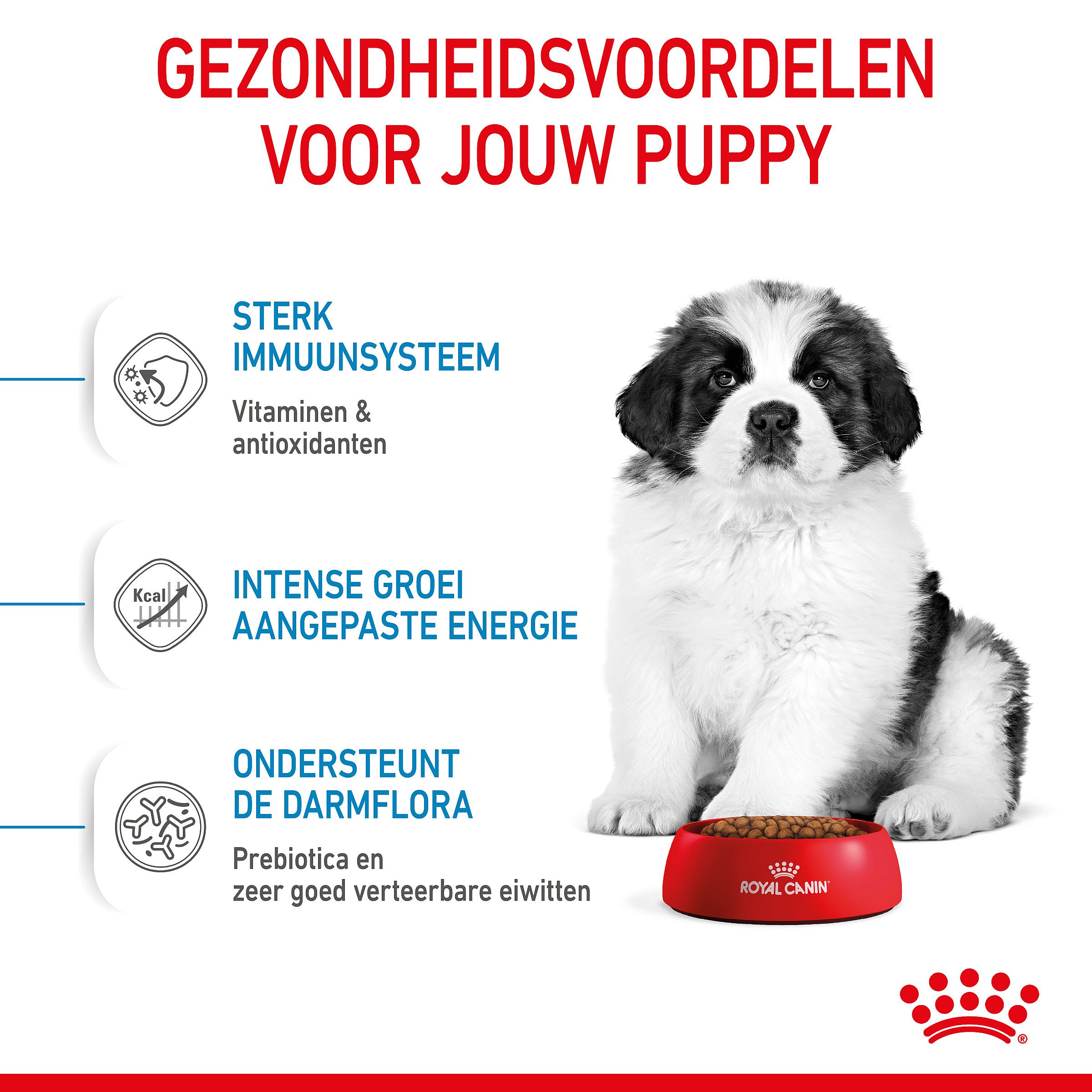 ROYAL CANIN® Giant Dog Puppy >45Kg 14kg - Hondenvoer voor de spijsvertering en gewrichten van pups van zeer grote honden vanaf 45 kilo