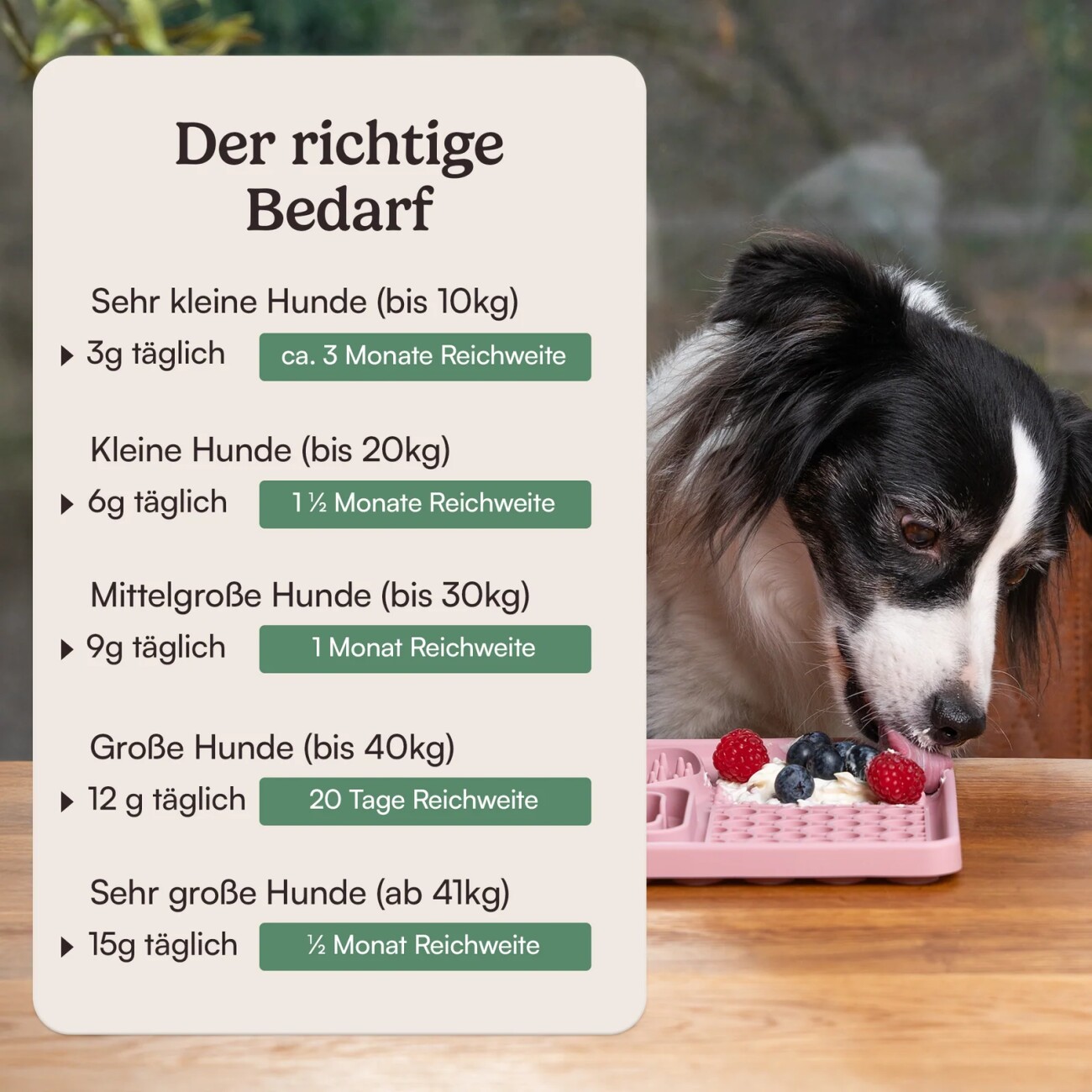 Hunderunde Futtertopping - Ruhe & Gelassenheit - Beruhigung für Hunde, Stressreduktion, Natürliche Kräuter, vegan 250g