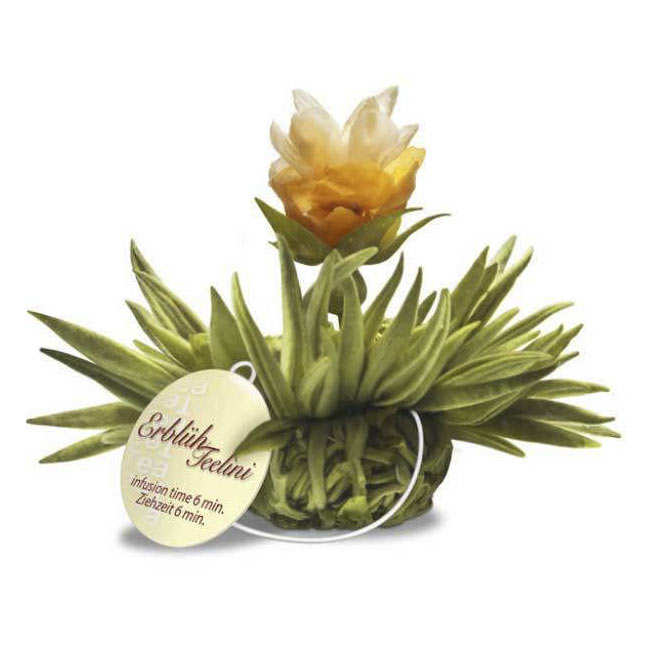Sachet de 6 fleurs de thé noir