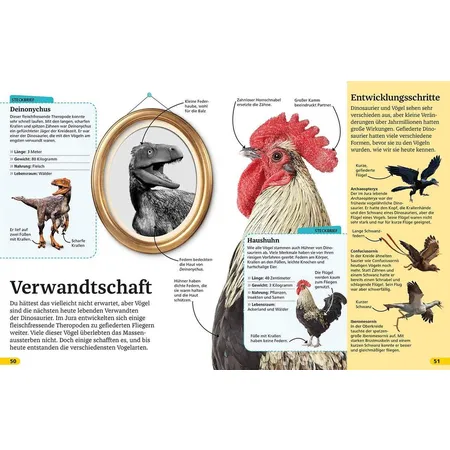 DK Verlag Superchecker! Dinosaurier: Was willst du heute wissen?