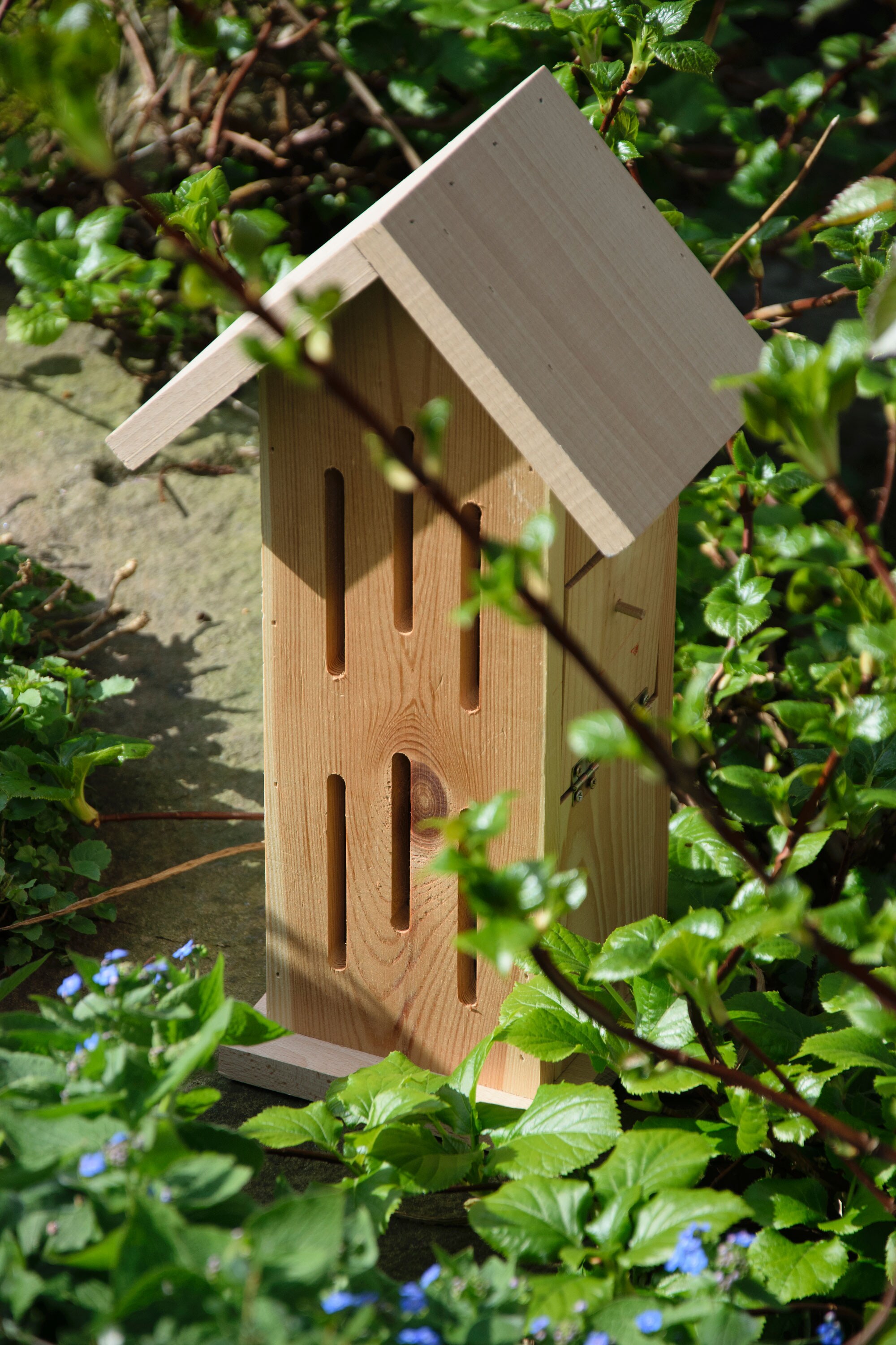dobar Design-Schmetterlingshaus 