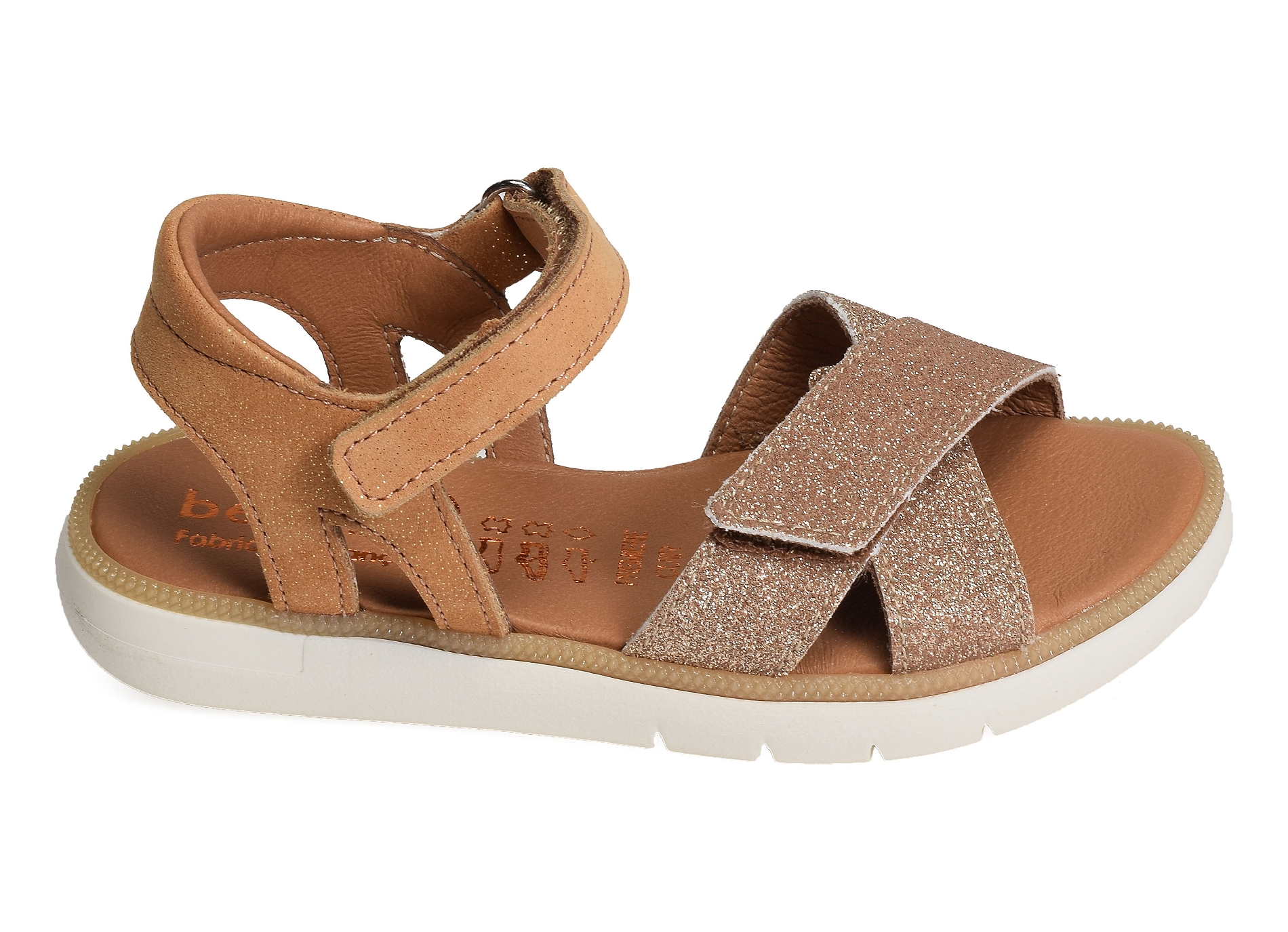 Evi camel