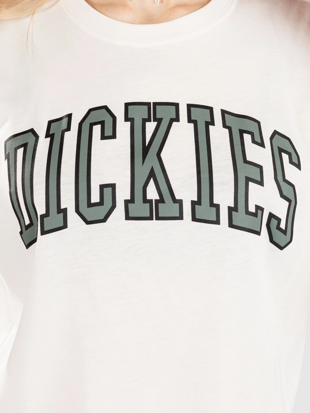 Dickies Aitkin T-Shirt egret