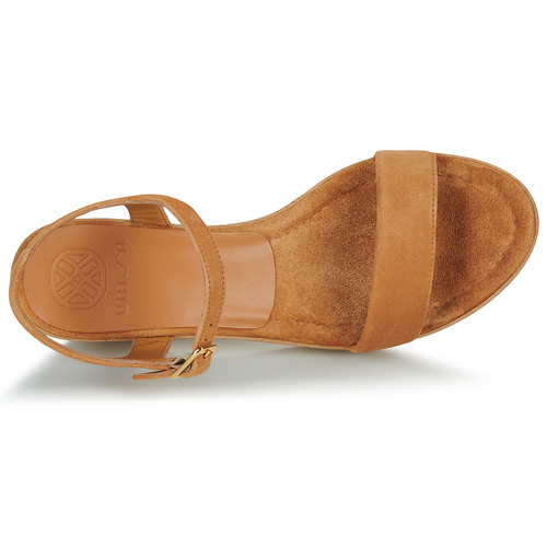 Unisa - IRITA - Camel