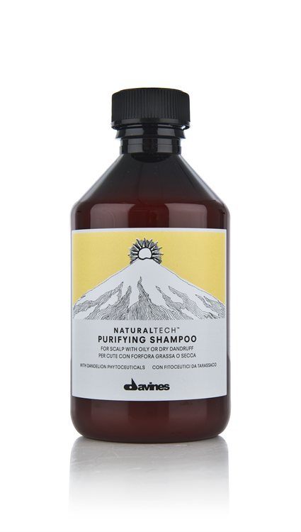Davines Naturaltech Purifying Shampoo 250ml