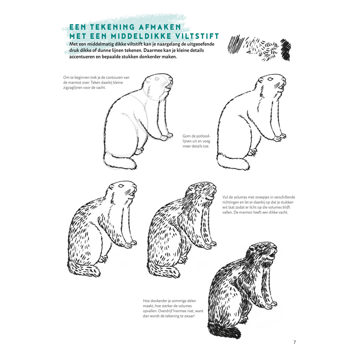 Stap voor Stap Dieren Leren Tekenen