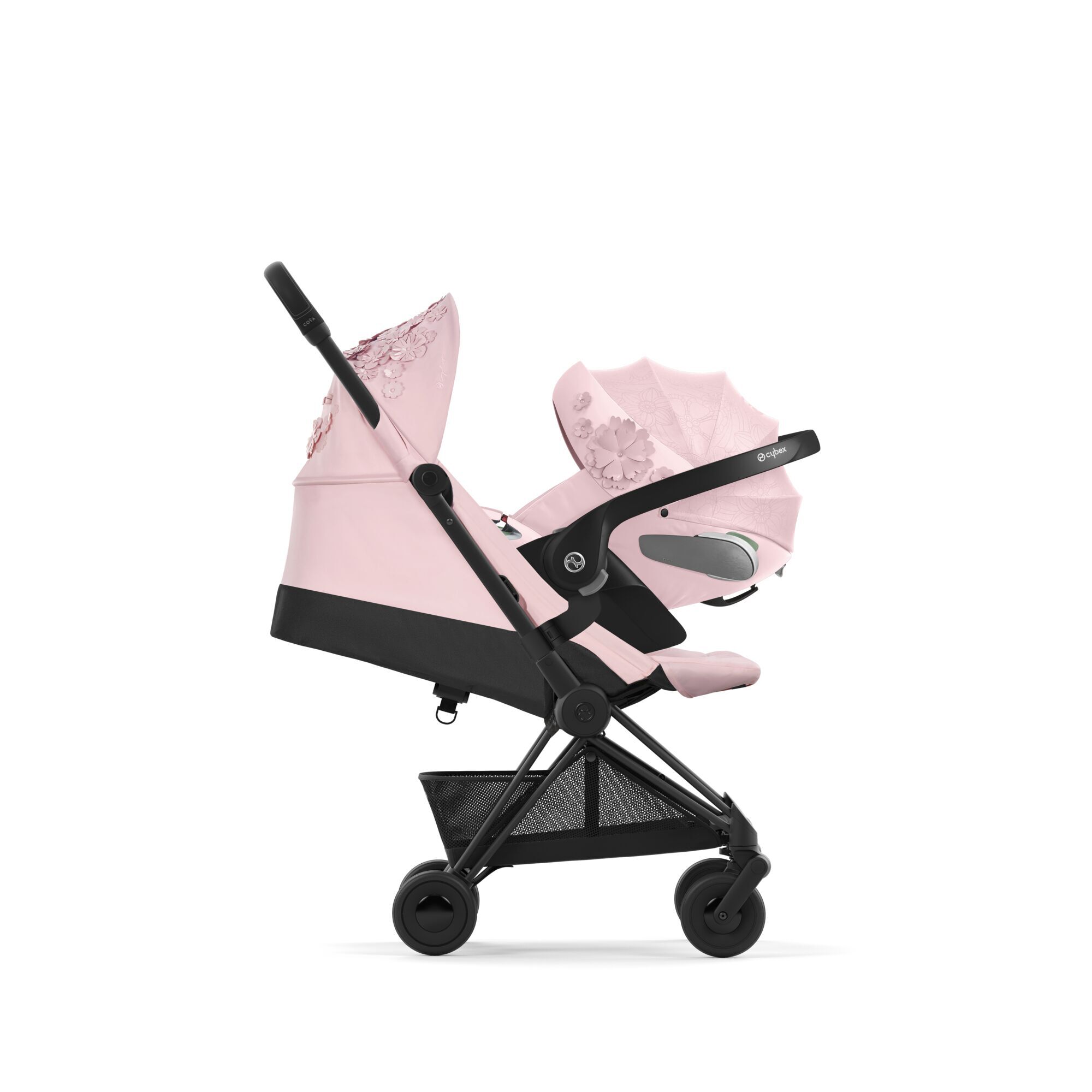 Coya Pale Blush