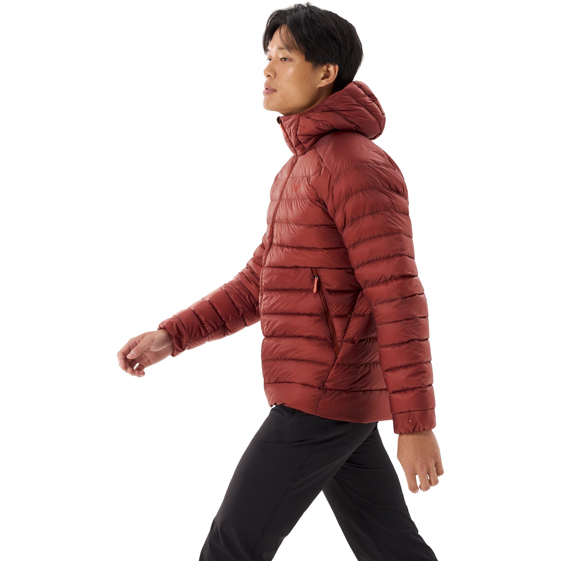 Arc'teryx Cerium Hoody Isolationsjacke Herren sequoia