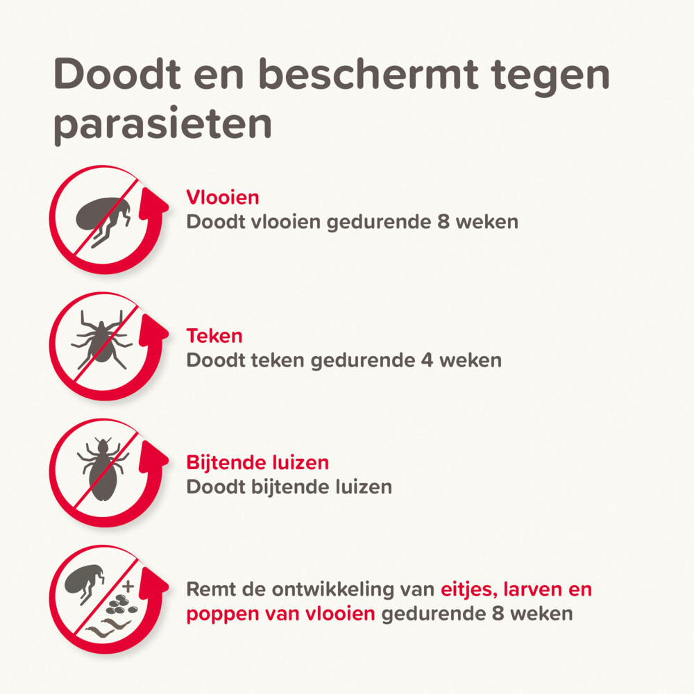 Beaphar Combotec Anti Teken- en Vlooiendruppels Hond 20-40 kg2 pipetten