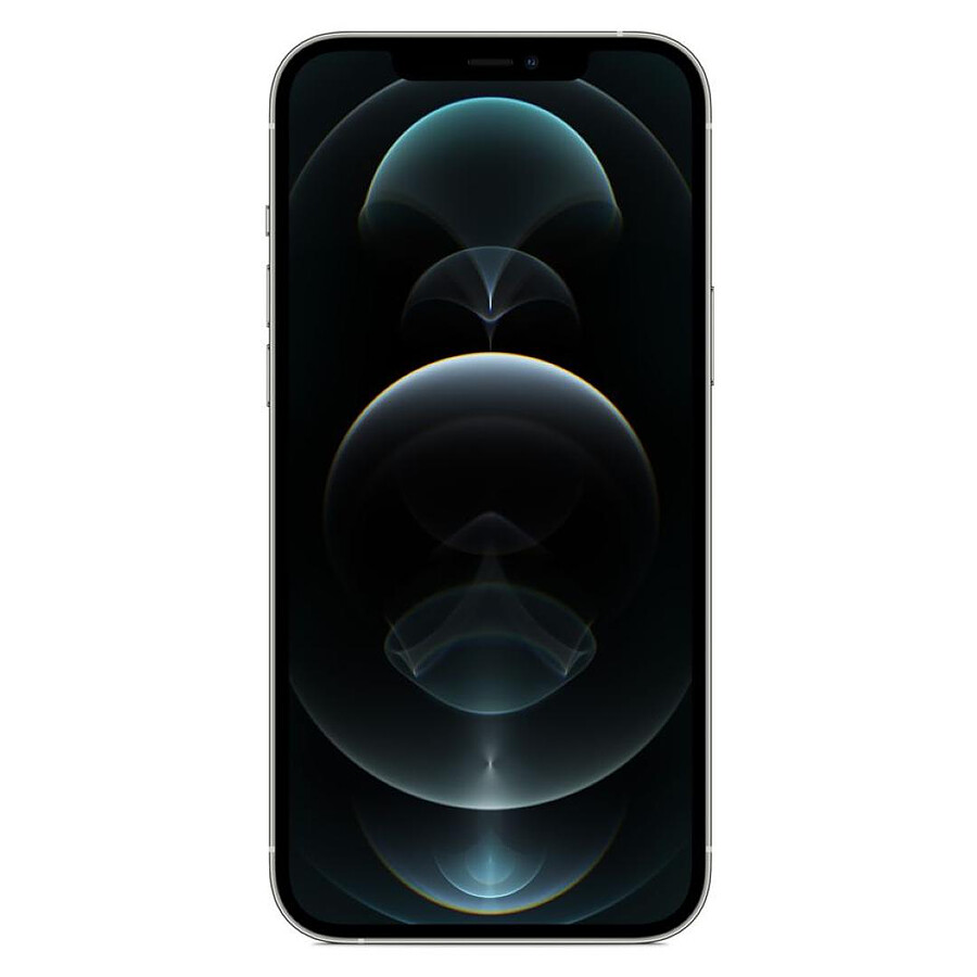 Apple iPhone 12 Pro Max (Argent) - 256 Go · Reconditionné