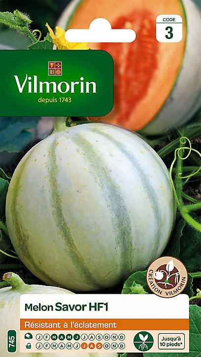 Graines de Melon Savor Hybride F1 Vilmorin