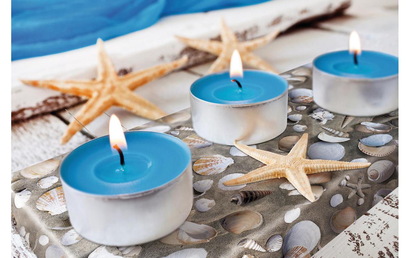 Designfolie Ttrendyline VenusDesignfolie mit Muscheldesign