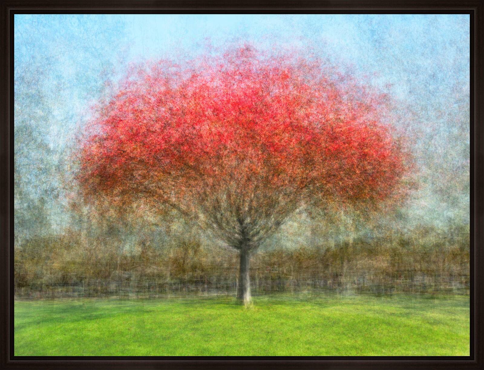 San Tomas Park, One by Pep Ventosa - Limited Edition. Edition of: 100. Signed.