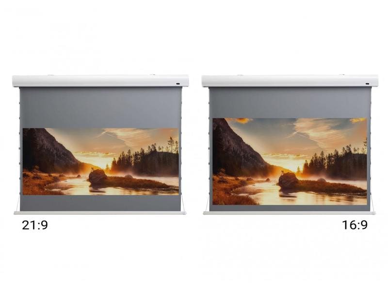 Celexon Tension-Leinwand HomeCinema Dynamic Slate ALR 265x1 HomeCinema Hochkontrastleinwand Tension 265 x 149 cm 120