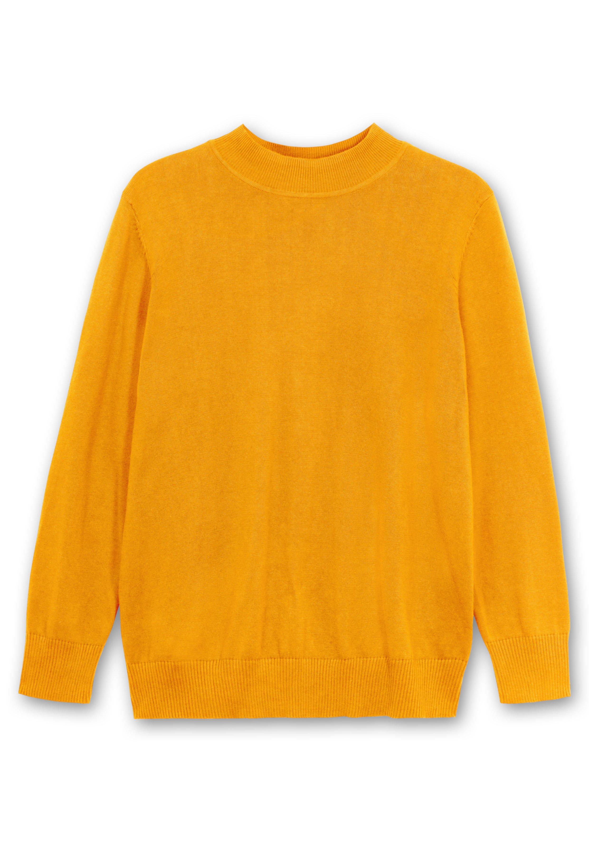 Pullover aus Feinstrick, mit Stehkragen