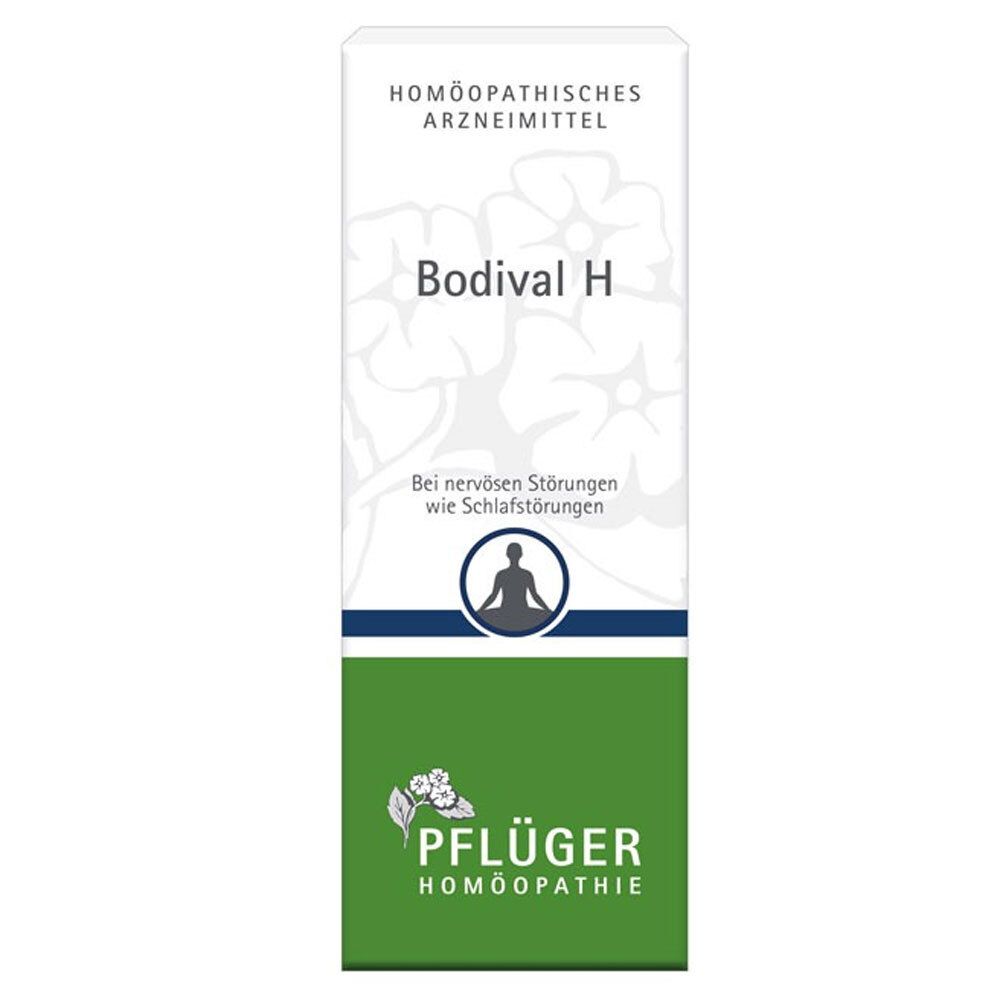 Bodival H