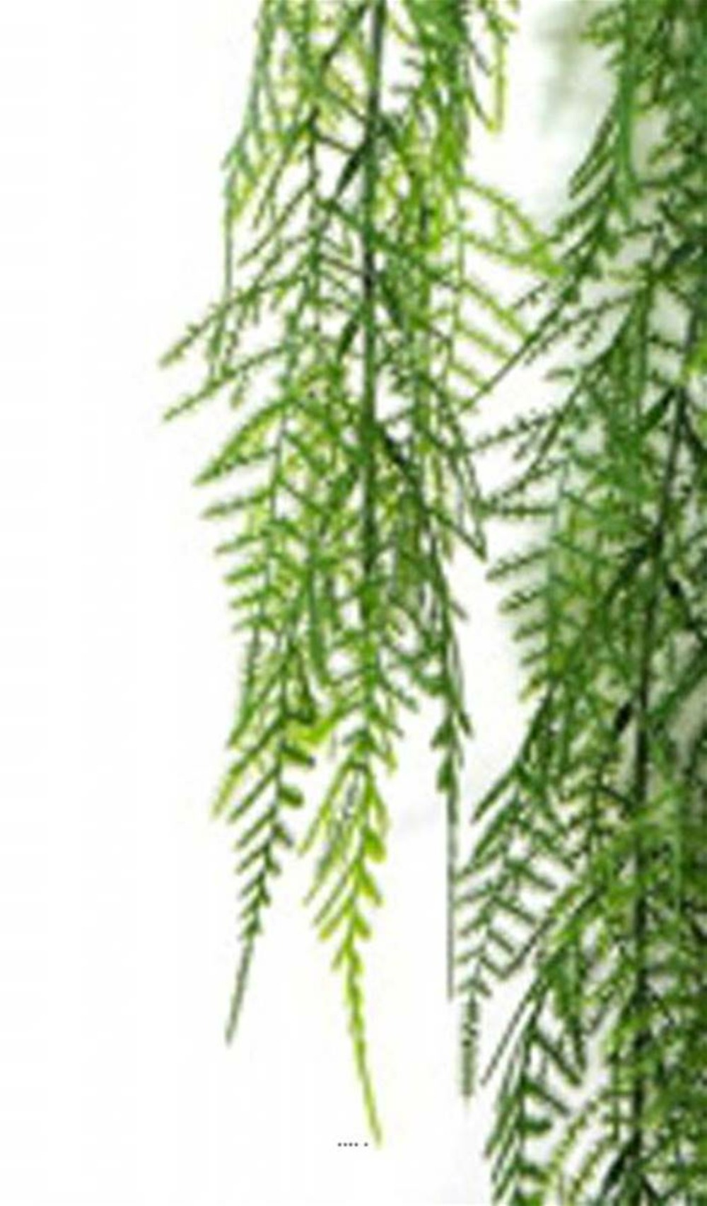 Chute d'asparagus artificiel l 75cm vert