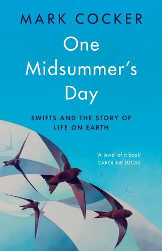 One Midsummer's Day: Swifts and the Story of Life on Earth (Hardback)